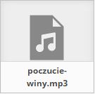 Poczucie winy